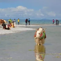 去西藏旅游 高原反应头疼的应对方法