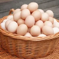 土鸡蛋真的更有营养吗？半熟的鸡蛋有营养吗？