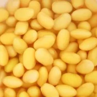 醋泡黄豆的功效与作用-醋泡黄豆的做法