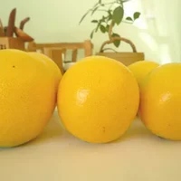 食用褚橙的注意事项-褚橙的功效与作用