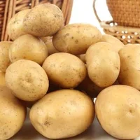 土豆的营养价值-土豆的功效与作用