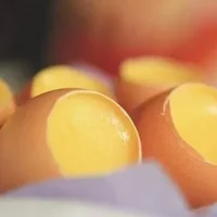 鸡蛋布丁的简介 鸡蛋布丁的做法