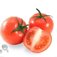 红彤彤的番茄能够防癌