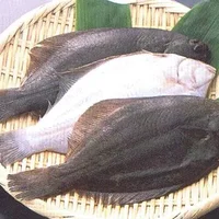 鸦片鱼的营养价值-鸦片鱼的食疗作用