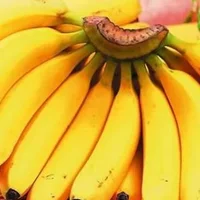 如何挑选香蕉？香蕉皮变黑香蕉就坏了吗？