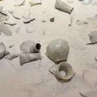 中国考古有哪些新发现？考古有什么意义