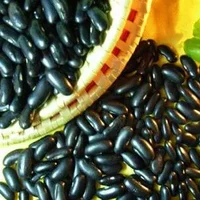 如何鉴别黑豆和黑芸豆？黑豆和黑芸豆的区别