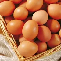鸡蛋最多可以存放多久？鸡蛋保存时间