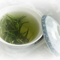 白茶的功效与作用-白茶的冲泡方法(一)