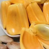 菠萝蜜干苞和湿苞的区别，菠萝蜜有哪些功效？