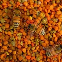 蜂花粉的作用与功效-蜂花粉的食用方法