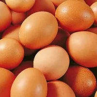 鸡蛋的营养价值及营养成分包括哪些
