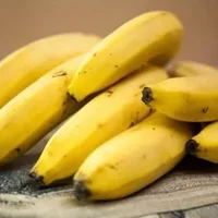 经期可以吃香蕉吗？早上吃香蕉好吗？