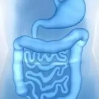 肠道囊肿有哪些症状？为什么会患肠道囊肿？