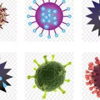 球孢子菌病的病因有哪些？球孢子菌病的疾病分类