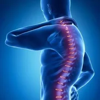 脊髓损伤恢复需要几年？脊髓损伤的症状