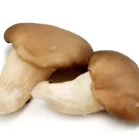 姬菇的营养价值 姬菇的做法