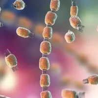 什么是球孢子菌病？球孢子菌病有哪些症状？