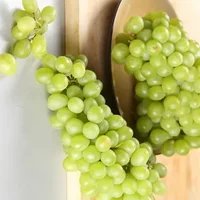马奶葡萄的种植技术-食用马奶葡萄的注意事项
