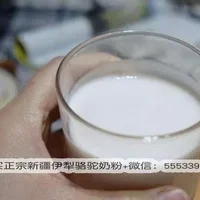 哪里能买到正宗新疆骆驼奶粉？真的骆驼奶粉价格是多少？