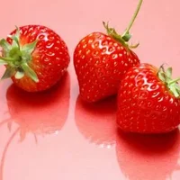 吃草莓要遵循这些原则 教你如何挑草莓