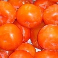 柿子的功效与作用-柿子的营养价值