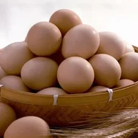 新鲜的鸡蛋外壳脏怎么办？煮鸡蛋发绿还能吃吗