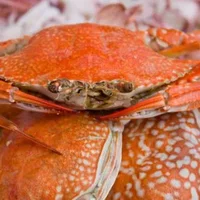海蟹需要蒸多久才可以食用 蒸海蟹的方法推荐