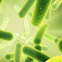 益生菌或解开长寿密码 补充益生菌可长寿