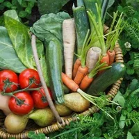 蔬果不应只是餐桌上的配角 每天吃足量蔬果有助防慢病