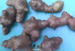 土三七的功效与作用