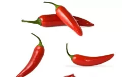 辣椒是碱性食物吗