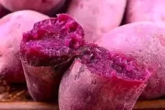紫薯什么季节成熟