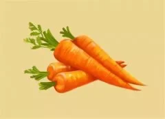 胡萝卜的功效与作用 科学食用胡萝卜