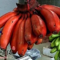 南洋红香蕉的五大功效很神奇