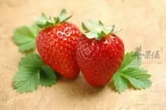 草莓美白保湿预防夜盲症有奇效
