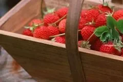 草莓的挑选 草莓的清洗 草莓的保存