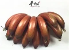 南洋红香蕉的营养价值的具体分析