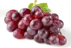 葡萄的品种