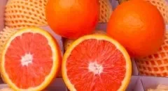 血橙是什么