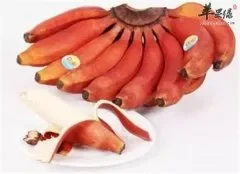 南洋红香蕉是什么 吃了有哪些好处