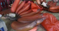 南洋红香蕉的保健功用讲解