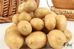 吃土豆能美容振奋精神以及减肥