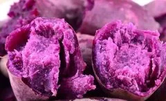紫薯是转基因食物吗