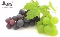 葡萄的几种吃法 葡萄酒和葡萄干