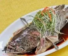 石斑鱼的做法 正确食用石斑鱼