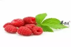 树莓的药用 清热解毒消肿止痛