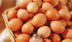 鸡蛋人体营养补充剂 常吃补充营养