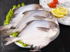 鲳鱼美味可口 注意鲳鱼的功效