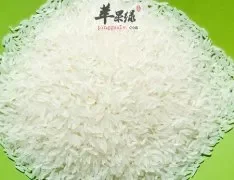 粳米和大米常用来煮粥 有什么区别